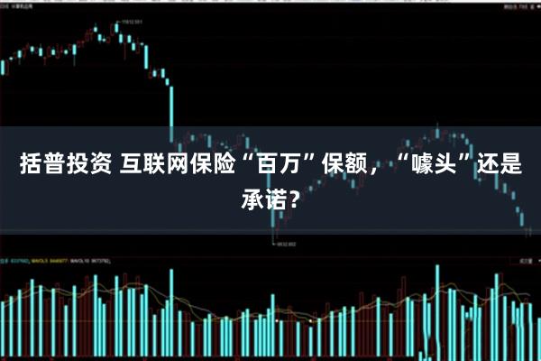 括普投资 互联网保险“百万”保额，“噱头”还是承诺？