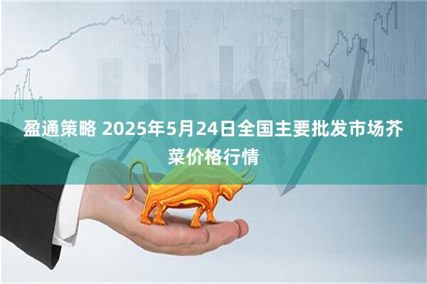 盈通策略 2025年5月24日全国主要批发市场芥菜价格行情