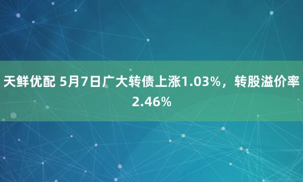天鲜优配 5月7日广大转债上涨1.03%,转股溢价率2.46%