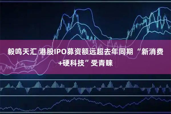 毅鸣天汇 港股IPO募资额远超去年同期 “新消费+硬科技”受青睐