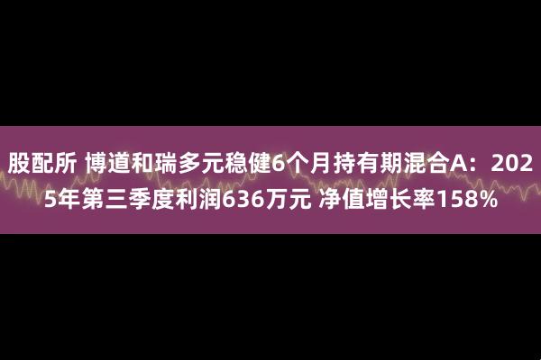 股配所 博道和瑞多元稳健6个月持有期混合A:2025年第三季度利润636万元 净值增长率158%