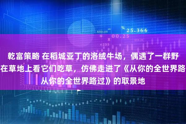 乾富策略 在稻城亚丁的洛绒牛场，偶遇了一群野生的岩羊，坐在草地上看它们吃草，仿佛走进了《从你的全世界路过》的取景地